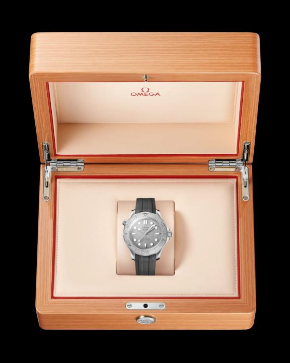 Omeg_a seamaster diver 300m