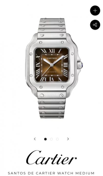 Cartie_r Santos Automatic silver brown