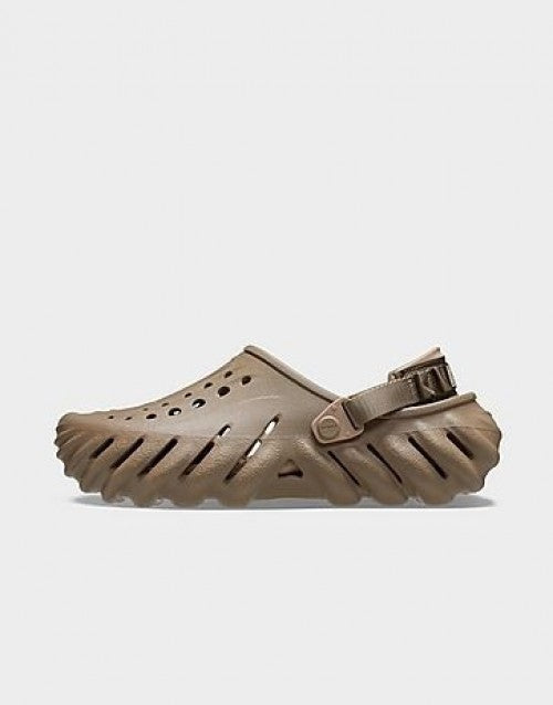 C_ROCS ECHO 2024 TRUFFLE